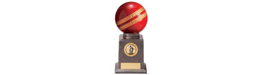 VALIANT LEGEND CRICKET AWARD - 115MM - 175MM